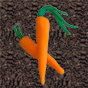 A pair of carrots, crossed to form a vaguely-X-looking shape